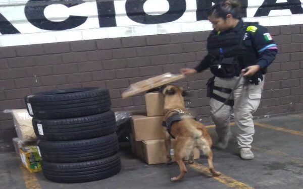 Sujeto con más de dos kilos de droga es detenido en Puebla capital