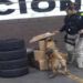 Sujeto con más de dos kilos de droga es detenido en Puebla capital
