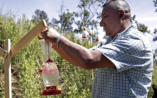 ¿Ya conoces el santuario de colibrís en Tlahuapan?