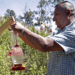¿Ya conoces el santuario de colibrís en Tlahuapan?