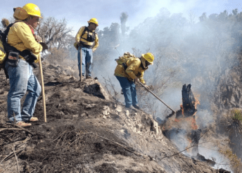 Gobierno de Puebla sofoca siete incendios forestales durante los primeros días de enero