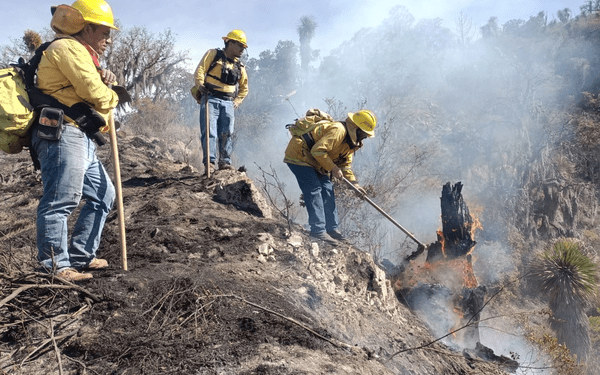 Gobierno de Puebla sofoca siete incendios forestales durante los primeros días de enero