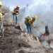 Gobierno de Puebla sofoca siete incendios forestales durante los primeros días de enero