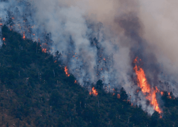 Incendios forestales dañan 8.5 hectáreas