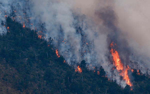 Incendios forestales dañan 8.5 hectáreas