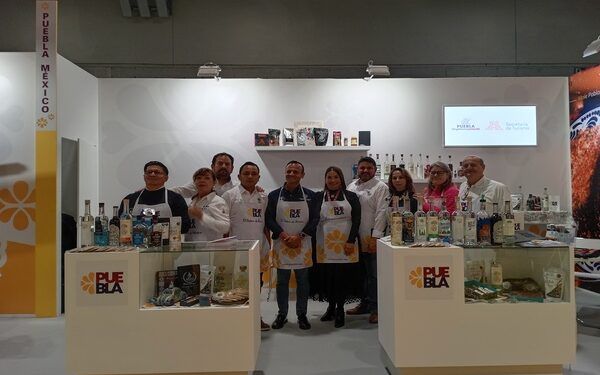Consolidarán exportación de mezcal y nopal
