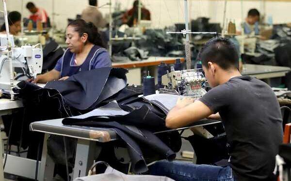 2023, con 19 mil 750 personas ocupadas más que el año previo