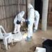Ejecutan a cinco personas en palenque de Petatlán, Guerrero