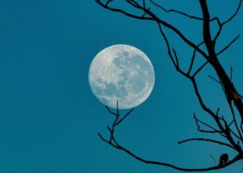 Desafíos épicos en la ruta a la Luna, nuestro vecino cósmico