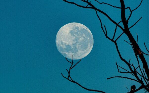 Desafíos épicos en la ruta a la Luna, nuestro vecino cósmico