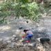 Sancionarán a municipios por tiraderos
