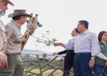 «Benito», del olvido a la preservación