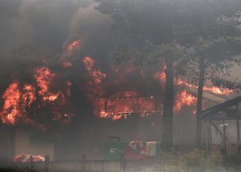 Detenidos por incendios en Viña del Mar quedan en libertad y sin cargos