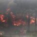 Detenidos por incendios en Viña del Mar quedan en libertad y sin cargos