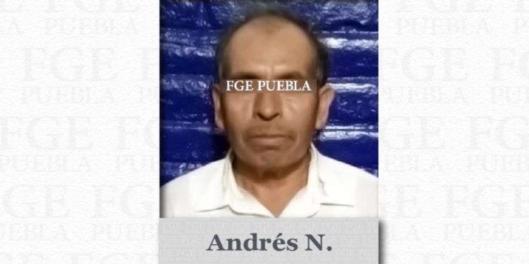 Sujeto mató a machetazos a dos perros en Tehuacán y va a la cárcel por tres años