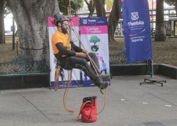 Listos trepadores de árboles para campeonato en Puebla