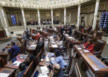 Congreso de Puebla tipifica la zoofilia y aprueba reformas en materia de bienestar animal