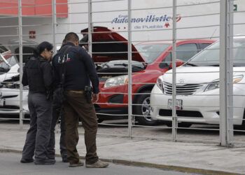 Rastrean a tres bandas de falsos vendeautos