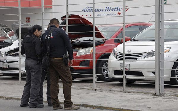 Rastrean a tres bandas de falsos vendeautos
