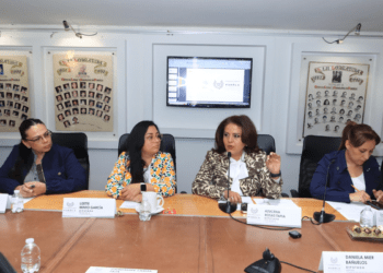 Comisión del Congreso de Puebla recibe proyecto de Convocatoria para el proceso de consulta en materia de salud mental