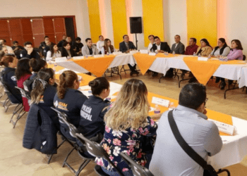 Realizan Mesa de Seguridad Regional en Favor de las Mujeres