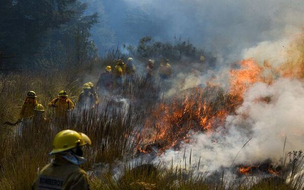 Séptima entidad con más incendios forestales, con 25