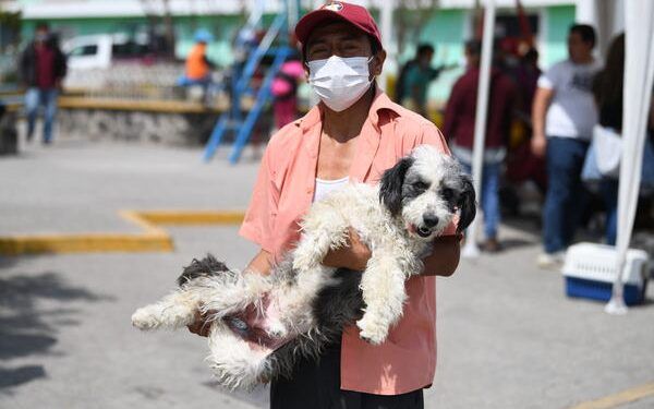 Inicia la Jornada Nacional de Vacunación Antirrábica Canina y Felina en Puebla