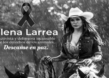 Dan último adiós a Elena Larrea en Cuacolandia