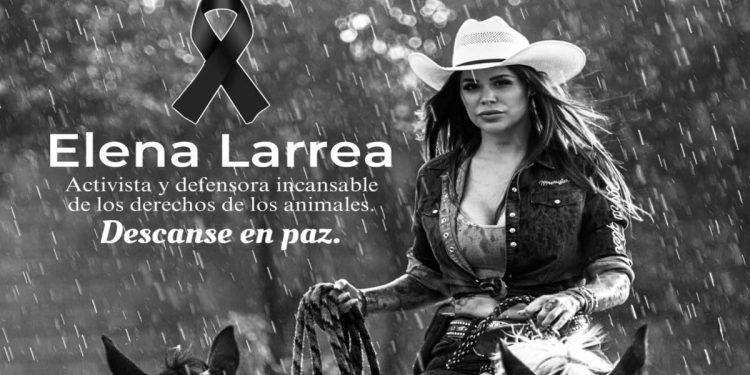 Dan último adiós a Elena Larrea en Cuacolandia