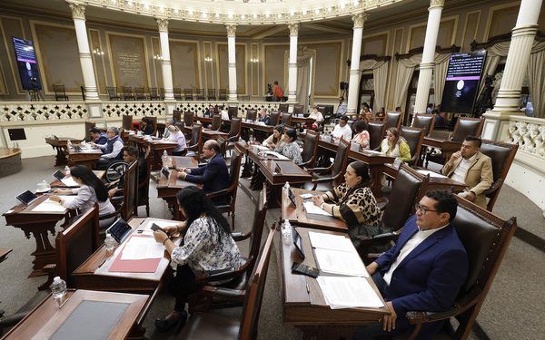 Congreso de Puebla propone sancionar cambio de uso de suelo en terrenos forestales sin autorización