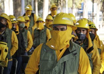 Nueve de 12 incendios forestales en Puebla han sido liquidados
