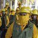 Nueve de 12 incendios forestales en Puebla han sido liquidados