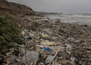 Ciencia, tecnología y humanidad ante la crisis global del agua