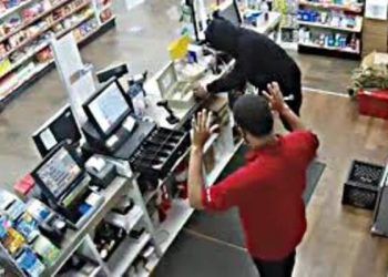 Bajan 15% denuncias por robo a comercios