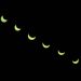 Poblanos acuden al zócalo a presenciar el eclipse de sol