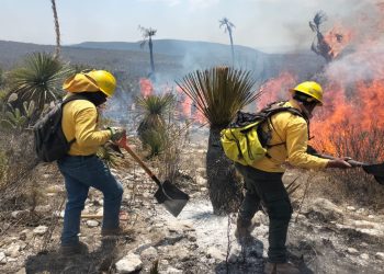 Fallecen dos brigadistas al combatir incendio