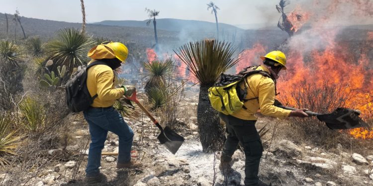 Fallecen dos brigadistas al combatir incendio