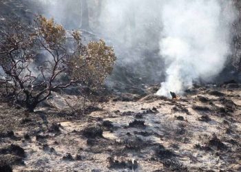 Incendio en Libres, controlado al 80 %