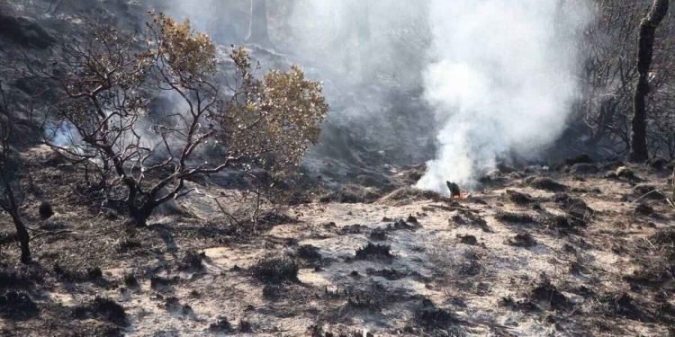 Incendio en Libres, controlado al 80 %