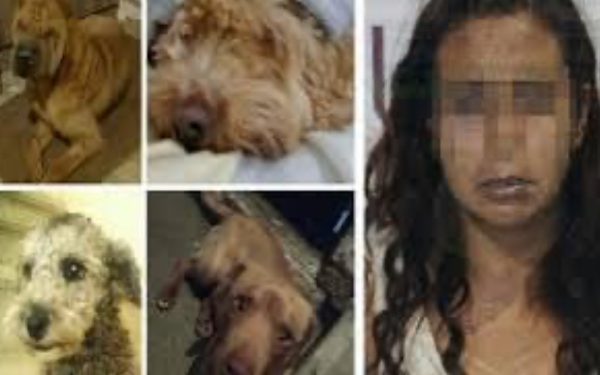 Mujer «mataperros» es detenida en Puebla