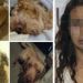 Mujer «mataperros» es detenida en Puebla