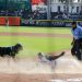 Vence Pericos 6-3 a Bravos de León y se lleva la segunda serie
