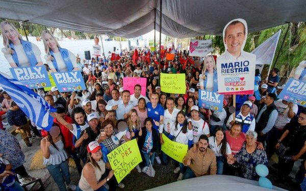 “Prevenir y perseguir delitos contra ellas”