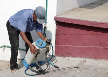 Mitad de casos de dengue, en cuatro municipios