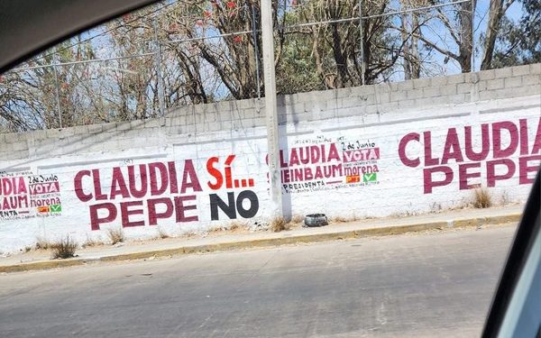 Que pinten lo que quieran: Pepe Chedraui