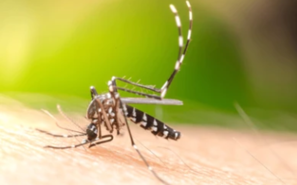 Brasil registra récord anual de muertes por dengue