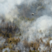 Canadá se prepara para la temporada de incendios forestales