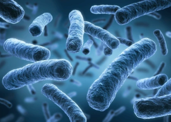 Siete bebés fallecen en hospital de Trinidad y Tobago por una bacteria