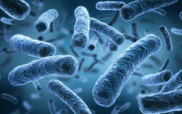 Siete bebés fallecen en hospital de Trinidad y Tobago por una bacteria
