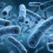 Siete bebés fallecen en hospital de Trinidad y Tobago por una bacteria
